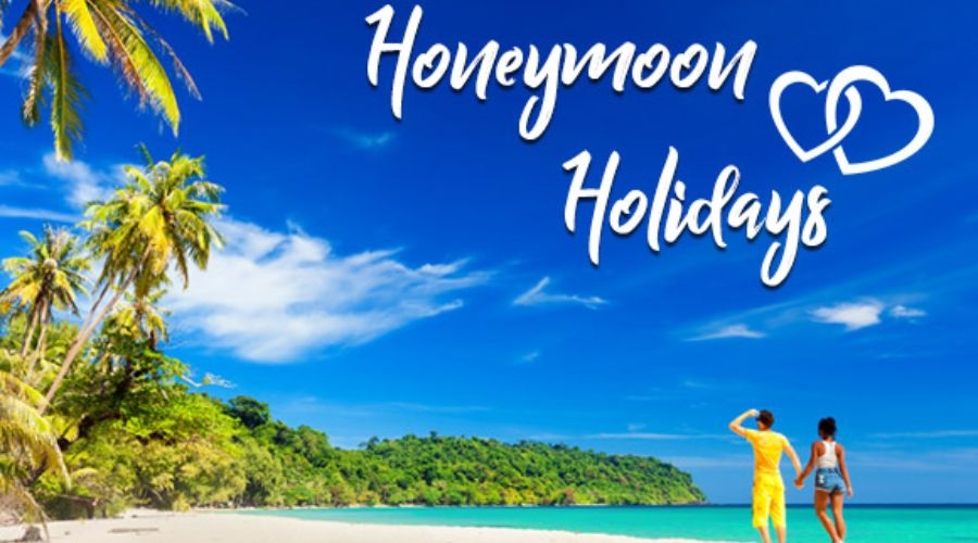 Honeymoon Tour Packages in North West Delhi, Delhi, India.