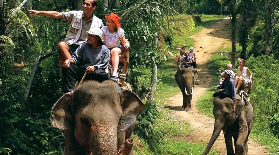 Wildlife Tour Packages in North West Delhi, Delhi, India.